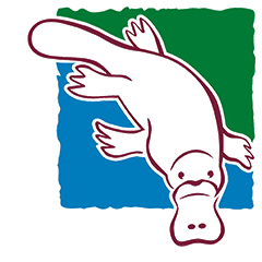 Camden City Council (CCC)